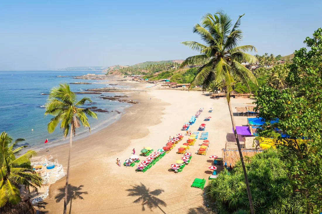 Taste of India Goa Beach